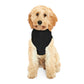 "Trappin" Dawg Hoodie